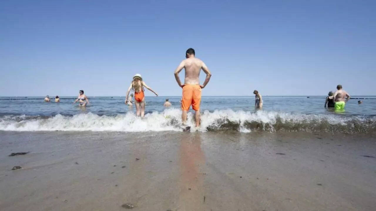 How do people get infected by Vibrio Vulnificus?