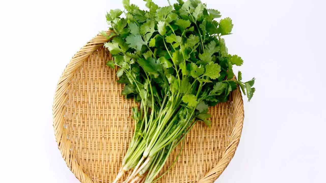 கொத்தமல்லி