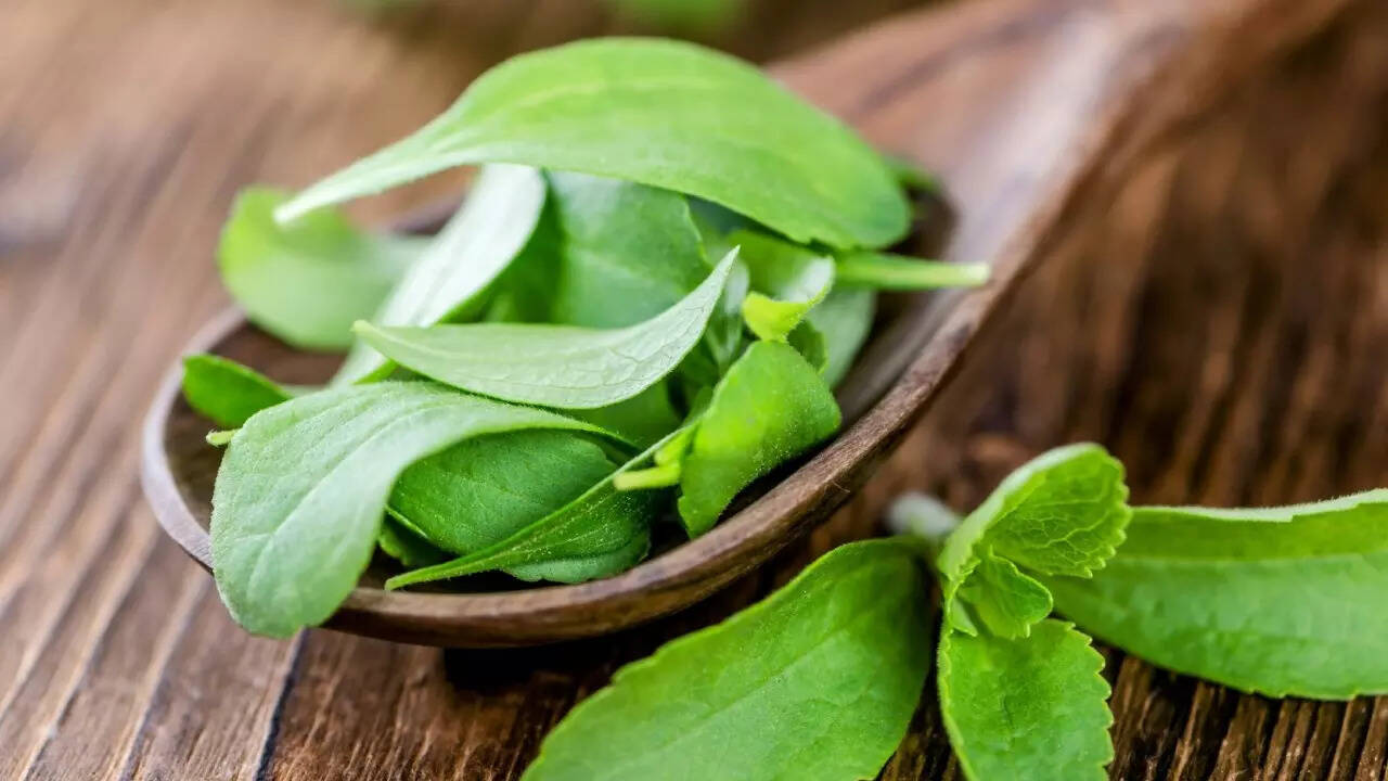 Stevia (1)