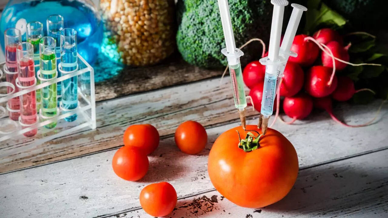 மரபணு மாற்றப்பட்ட உணவுகள் (GMOS)