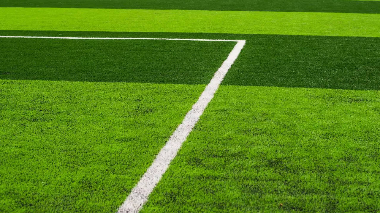 Turf grass
