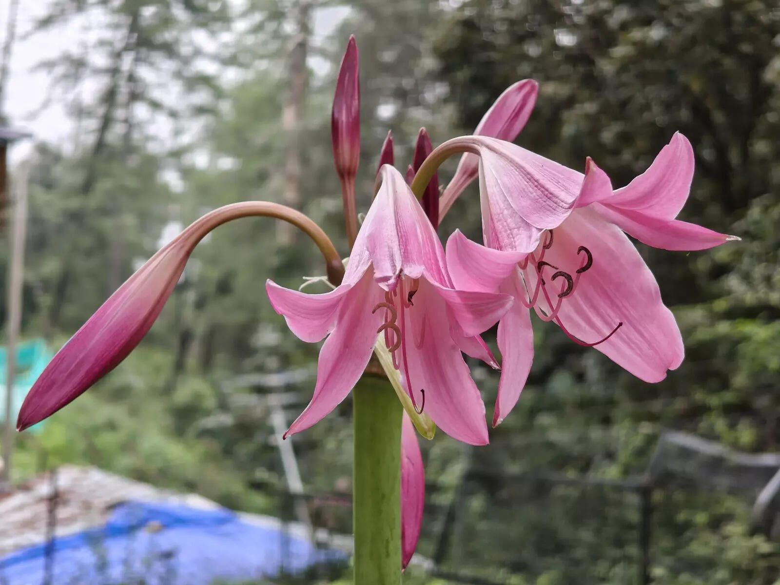 Camera Sample 5