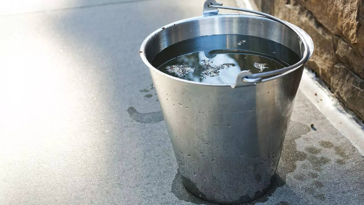 Eliminate mosquito breeding sites