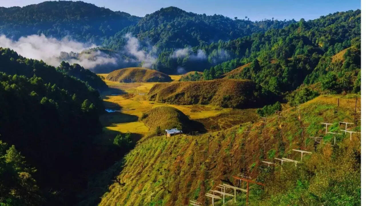 Ziro Valley, Arunachal Pradesh