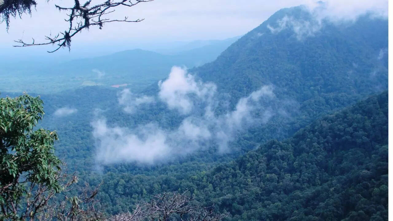 Source: Wikipedia Agumbe, Karnataka