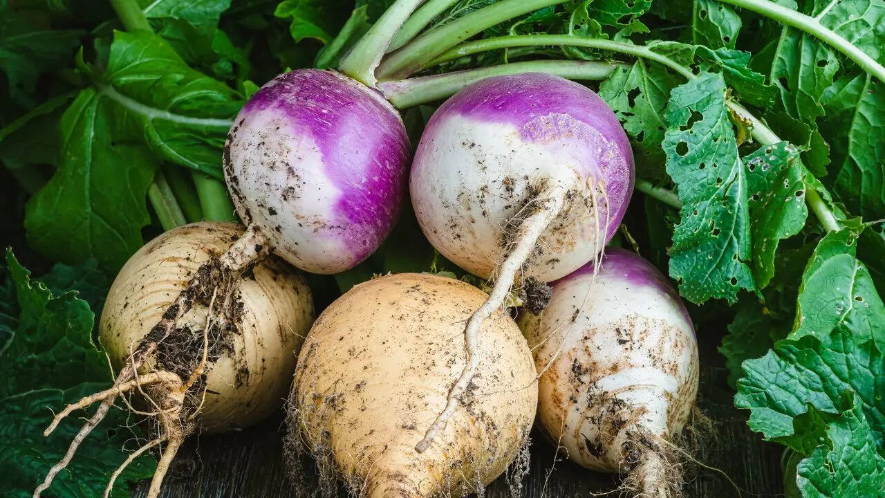 Turnip