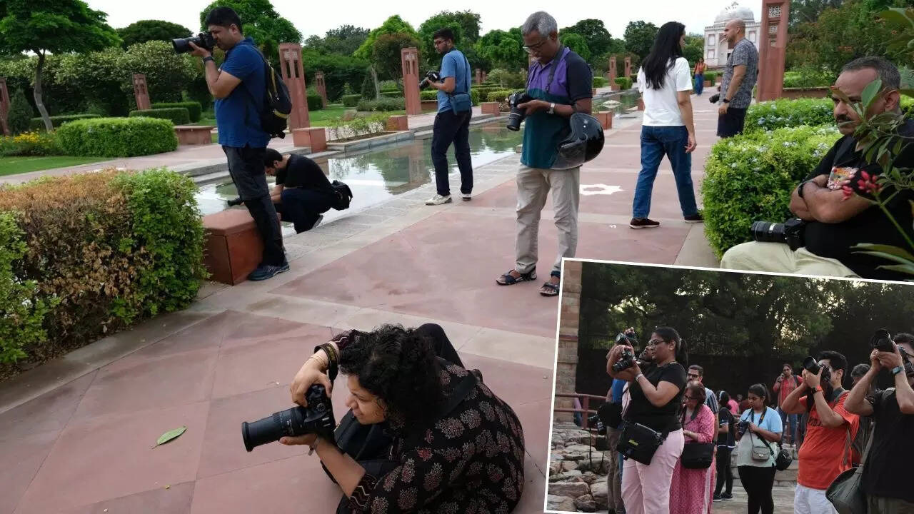 Amid rains, ictures look more crisp and sharp with defined shades of green