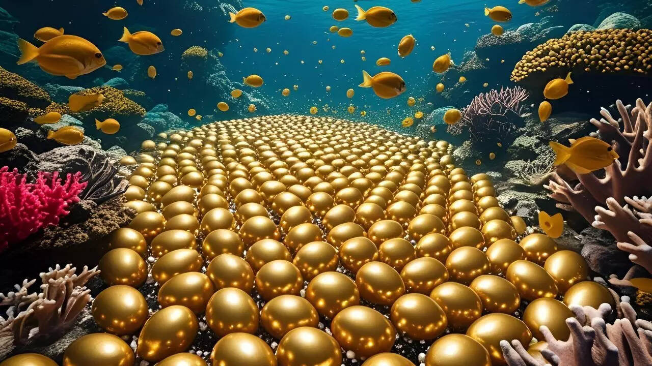 Volcanic heat helps the skates incubate their eggs