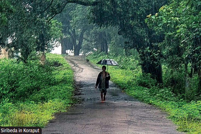 Siribeda in Koraput