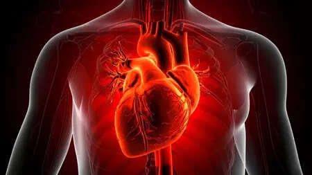 cardiovascular disease