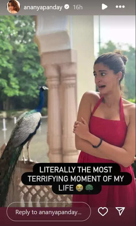 ananya-peacock-2025-07-6030cacf6505f94ed9c1e299bab2f521