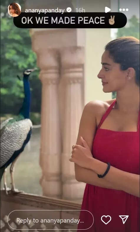 ananya-peacock-1-2025-07-5c7b8457b1aa022499914d5469c4a17b