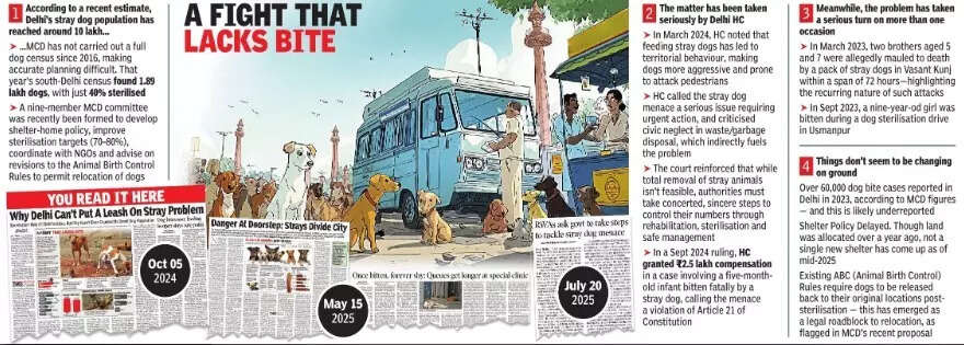 Despite complaints about the aggressive dog, local authorities allegedly failed to act.