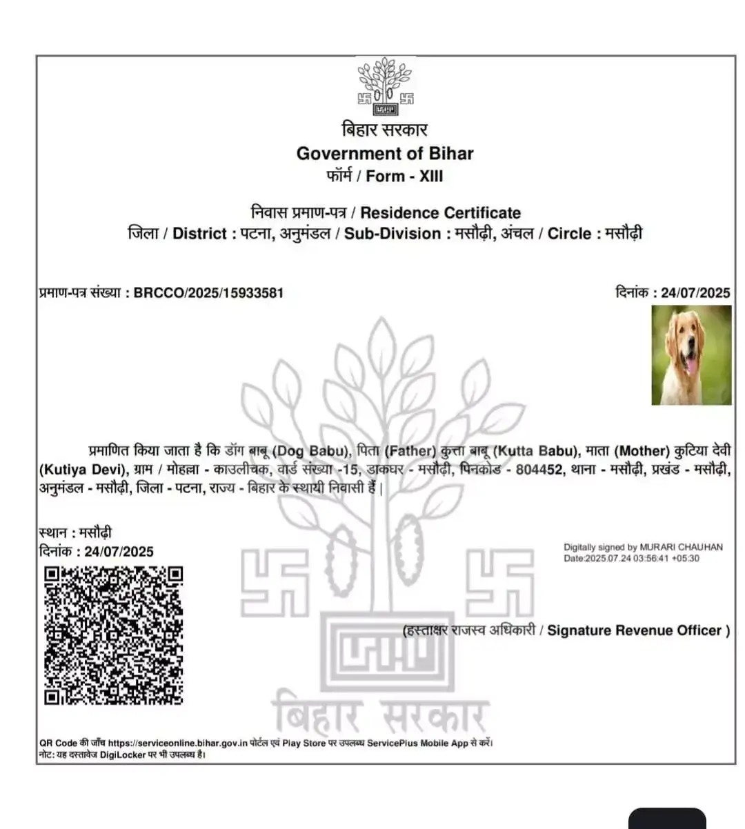 Dog receives residence certificate