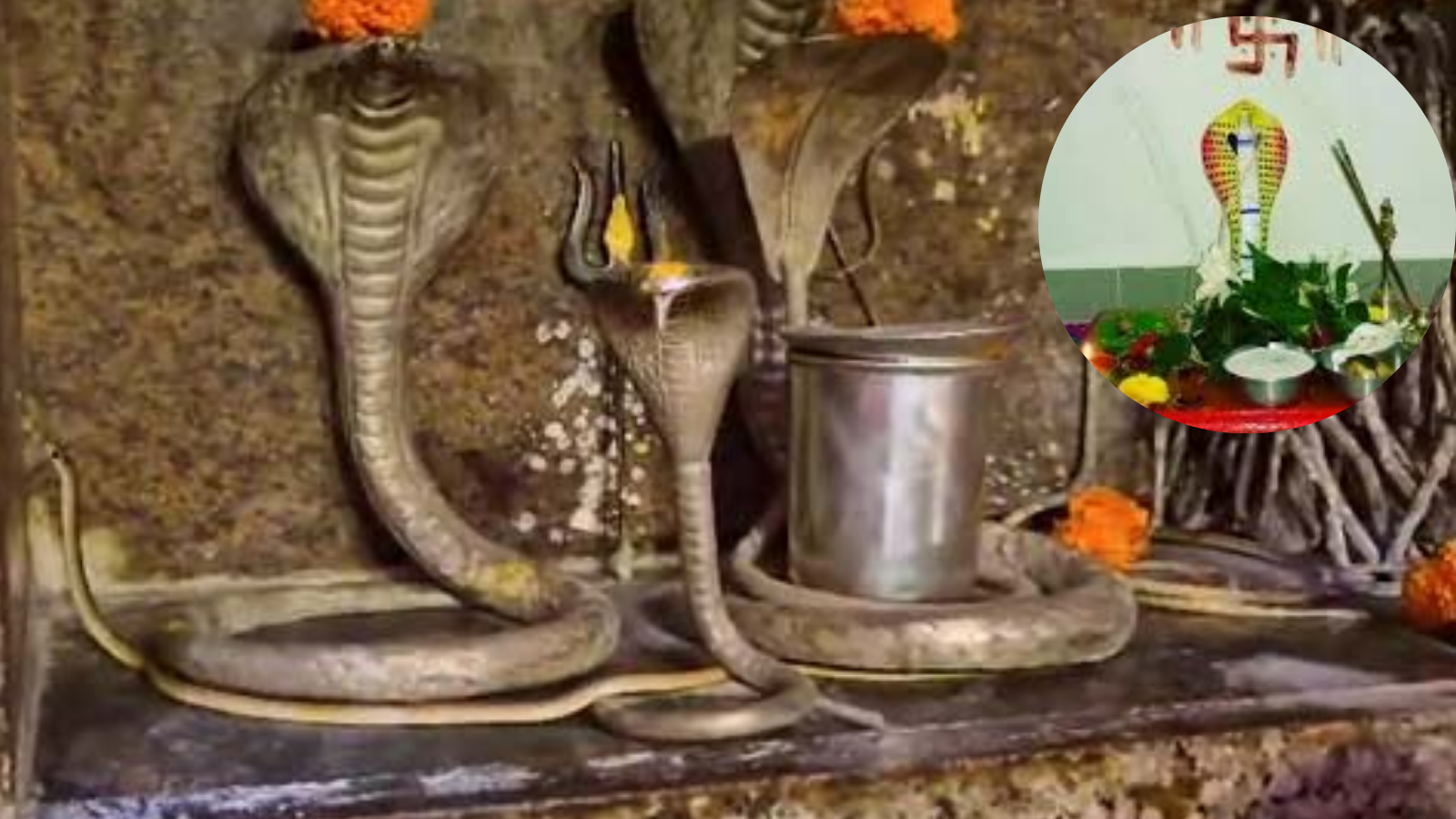 The best time for Nag Panchami is between morning and noon