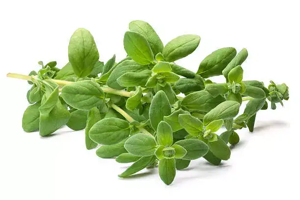Istockphoto-636975920-612x612