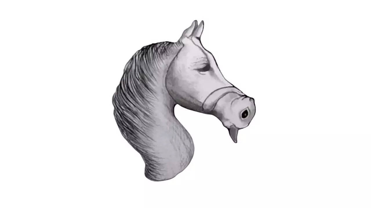 Optical illusion