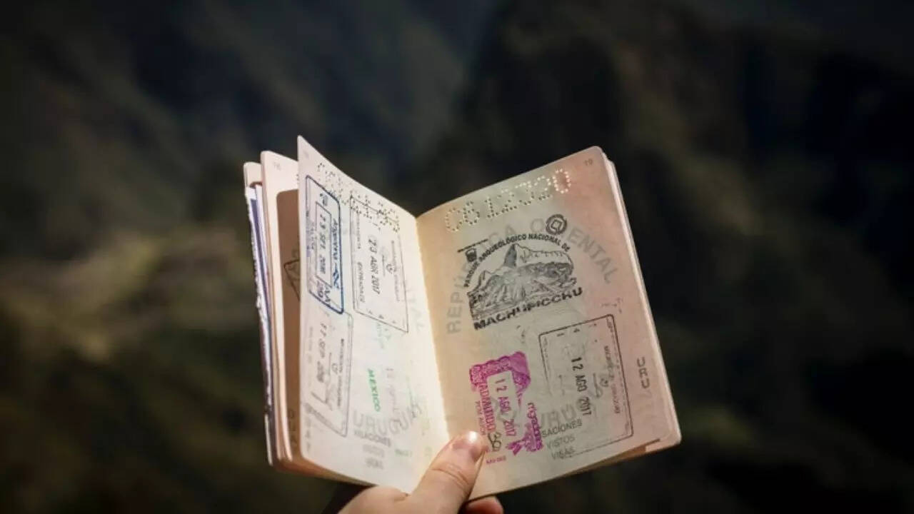 Visa (1)