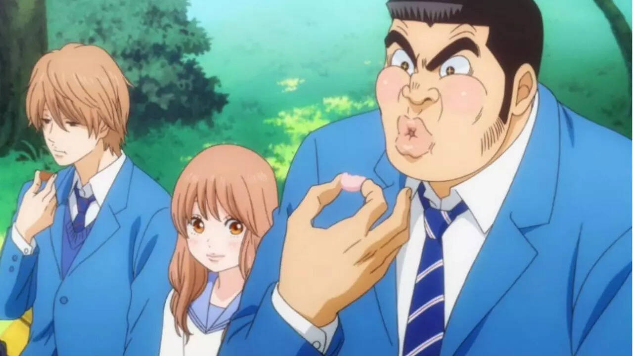 My Love Story!! (Ore Monogatari!!)