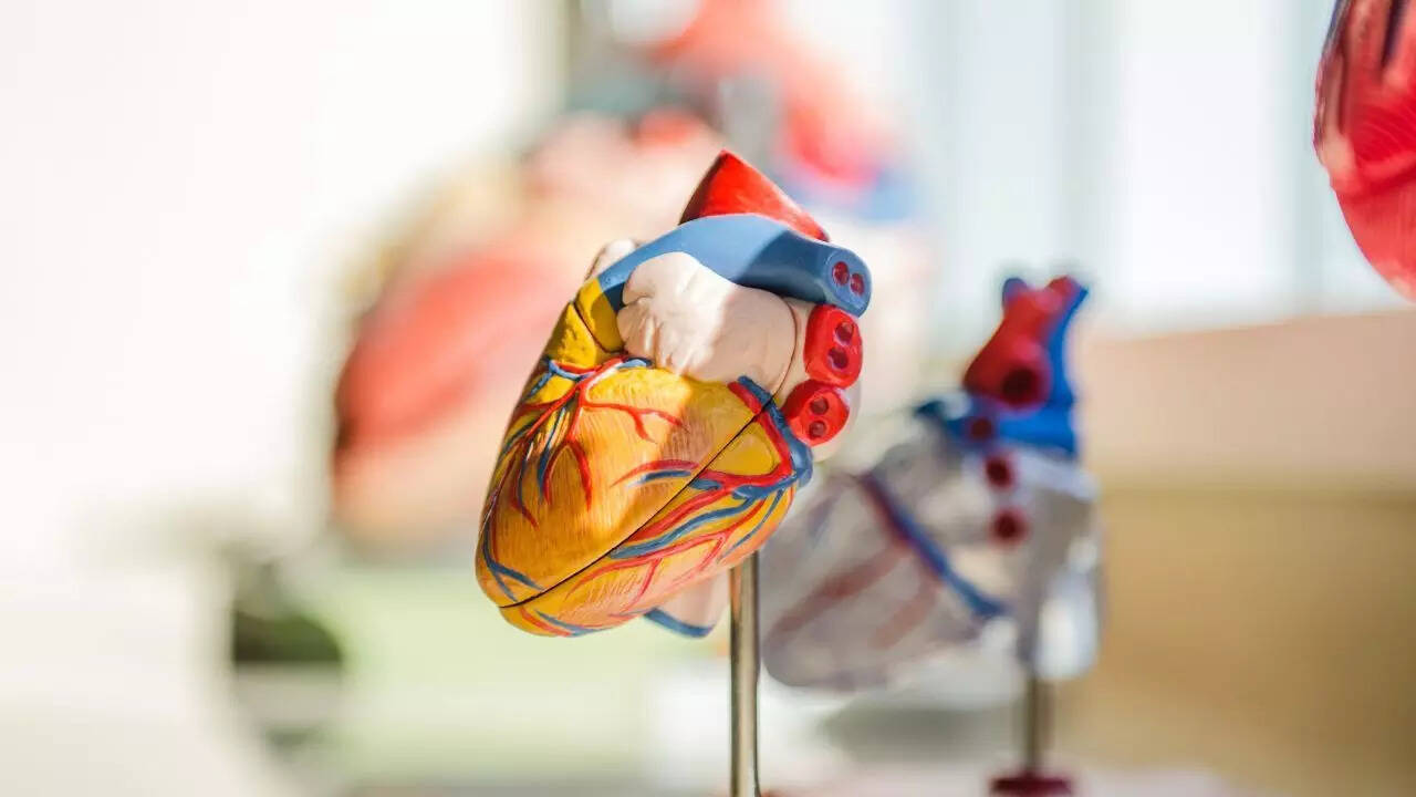 Why heart failure risks increase during sleep