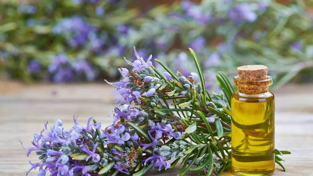 Rosemary oil
