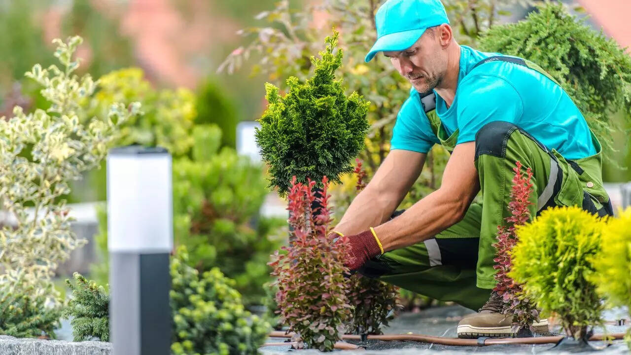 Hire a gardener