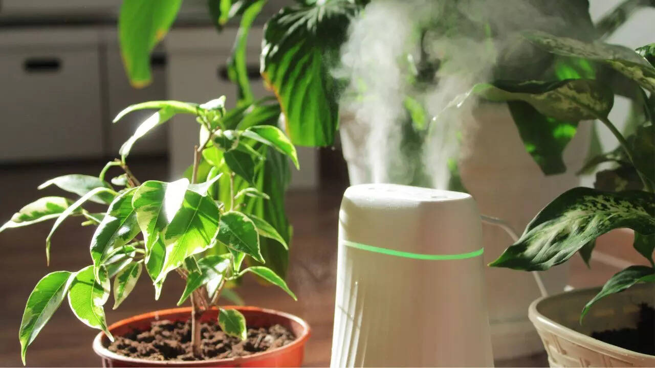 Use a humidifier