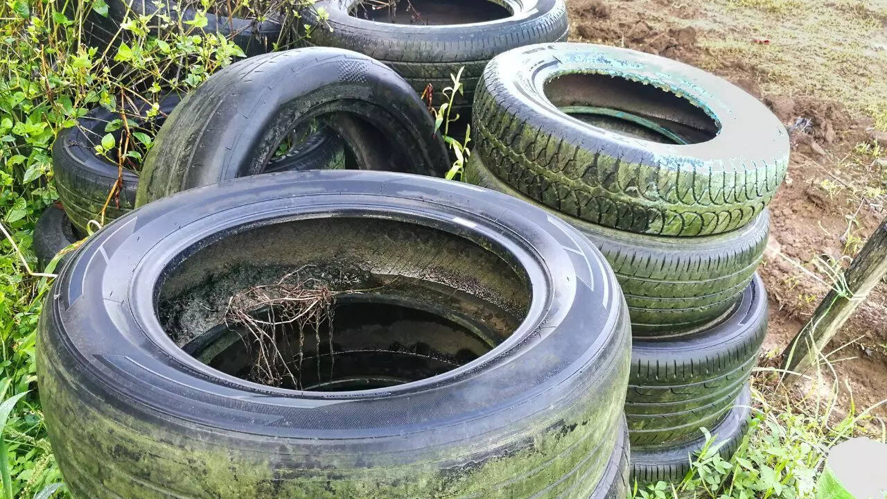 Eliminate mosquito breeding sites