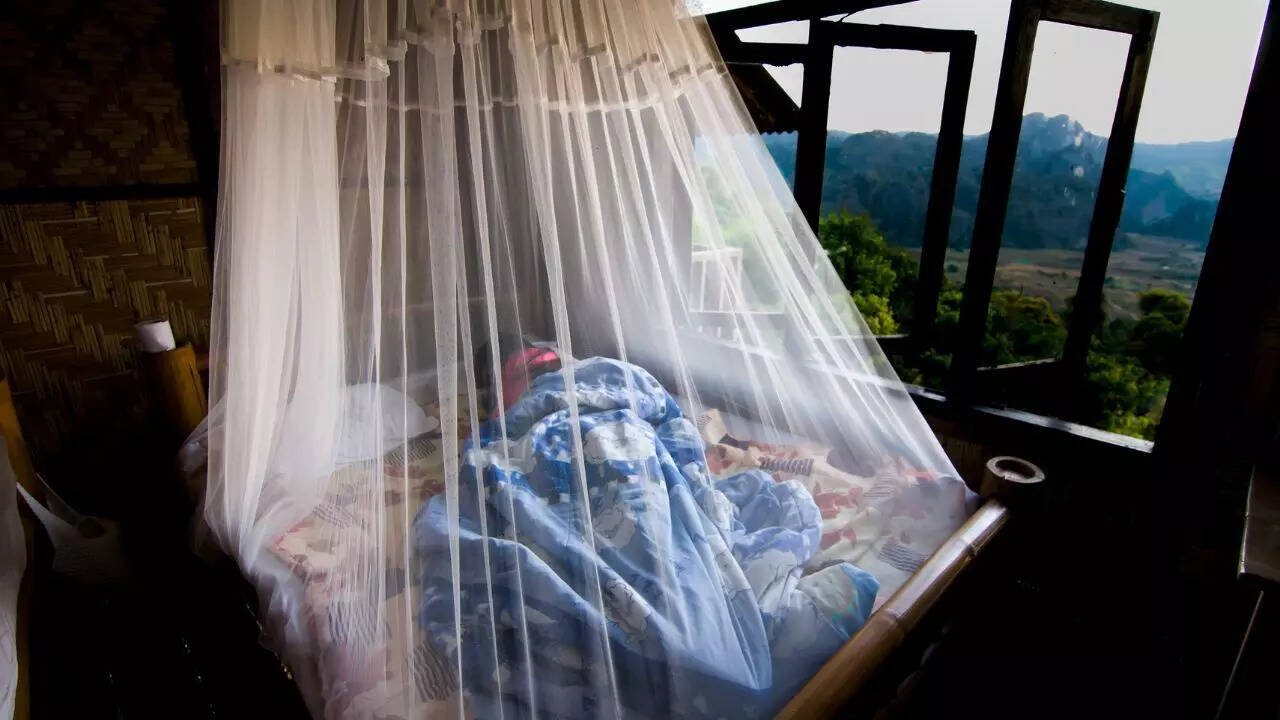Use mosquito nets