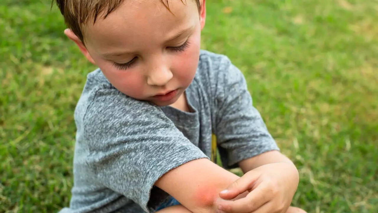 Avoid peak mosquito hours