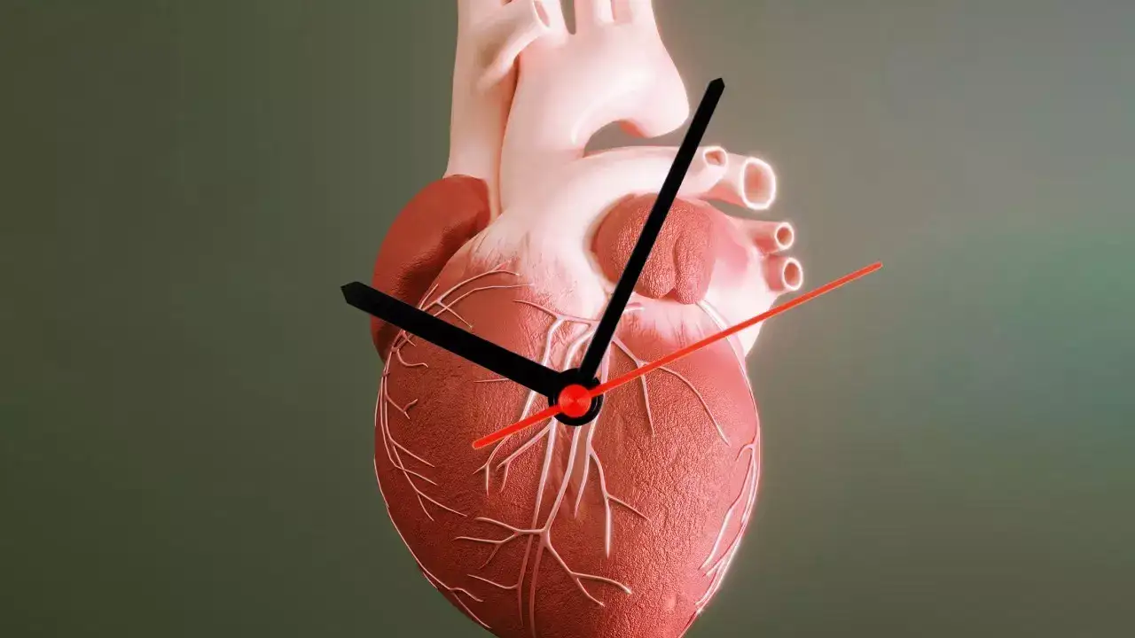 Heart age (1)