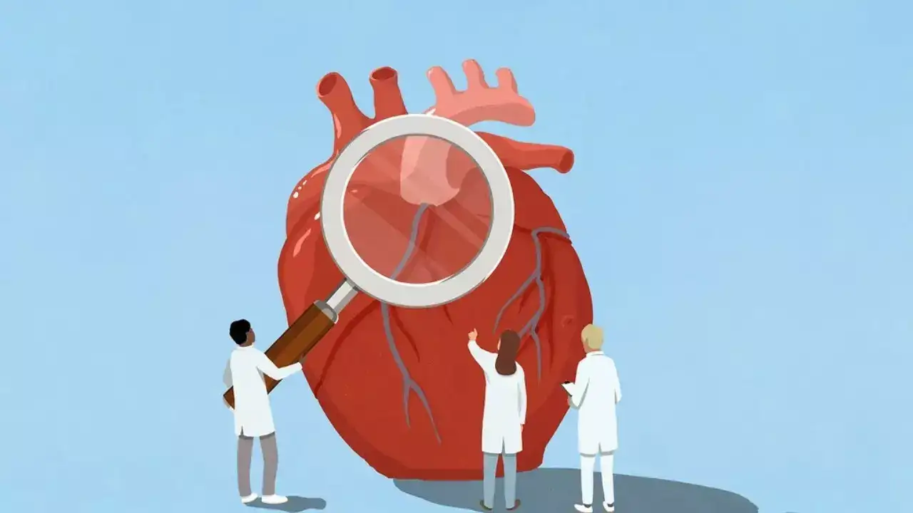 Heart age (2)