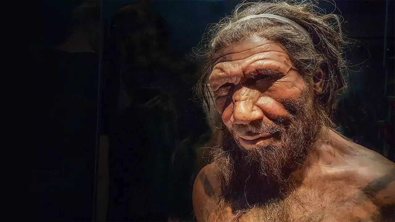 Neanderthal DNA