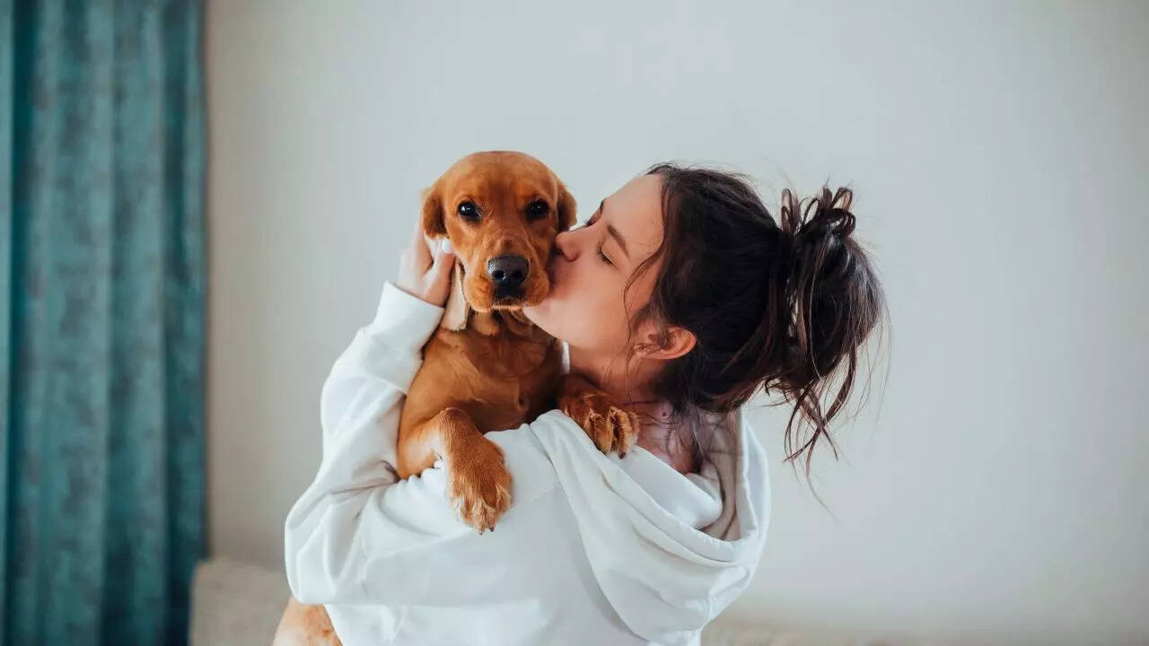 Dog hypertension symptoms: What it looks like in real life