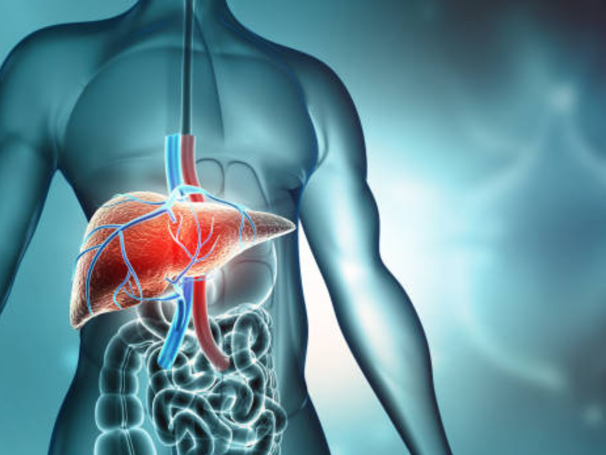 Improves liver health