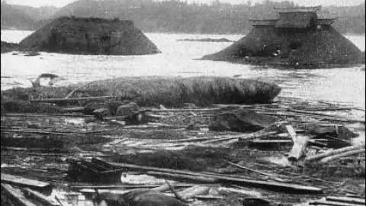 Source: Wikipedia Sanriku Earthquake and Tsunami