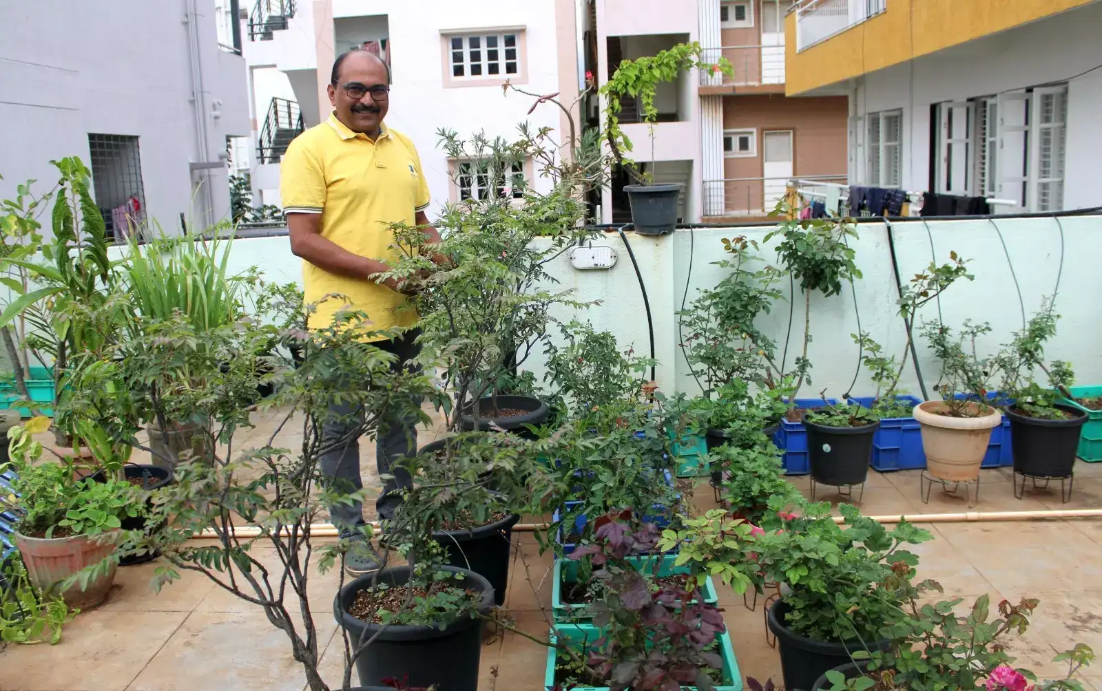 Anand Havaldar Anand currry leaves