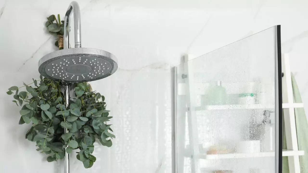 Hang eucalyptus in your shower for spa vibes