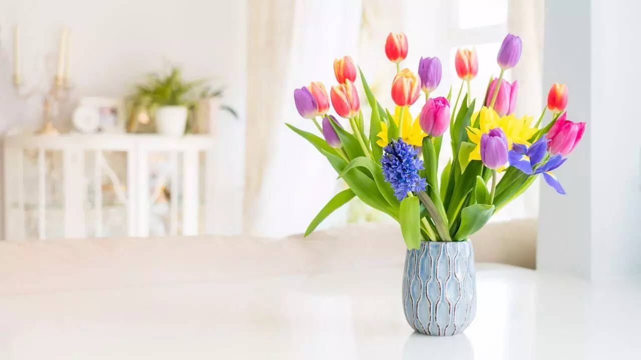 Tulips