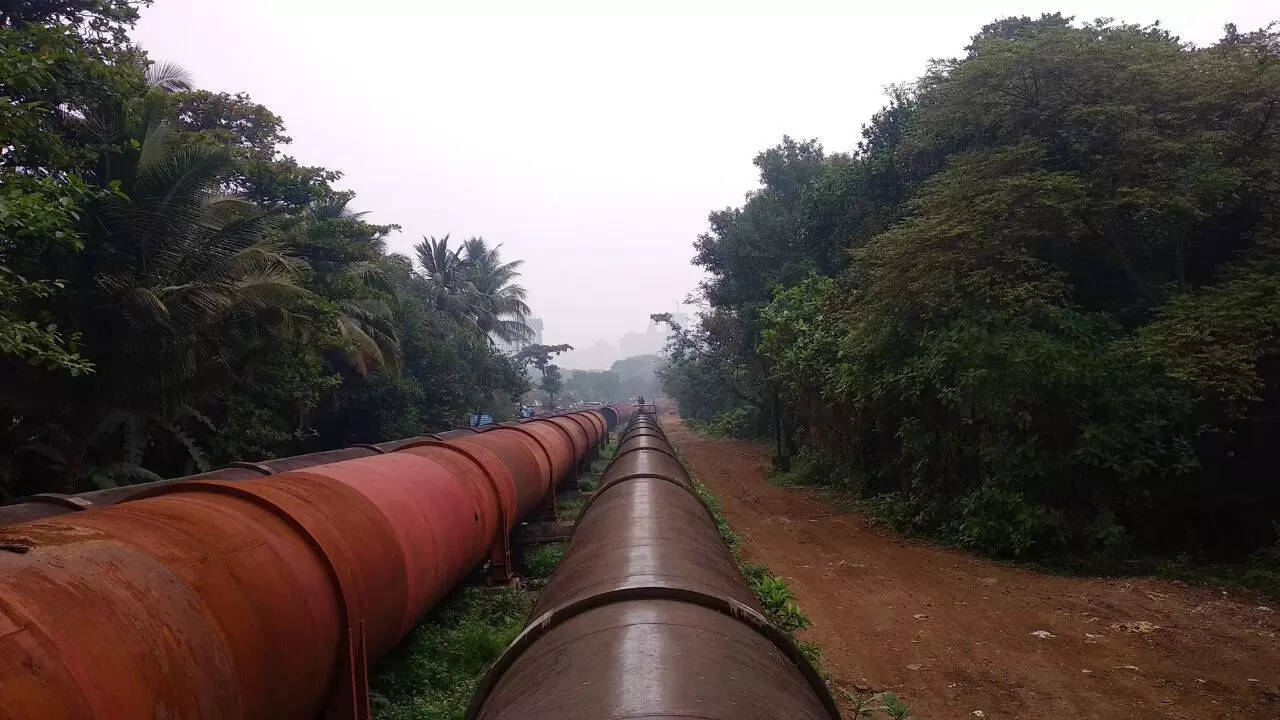 Tansa Wildlife Sanctuary, Maharashtra