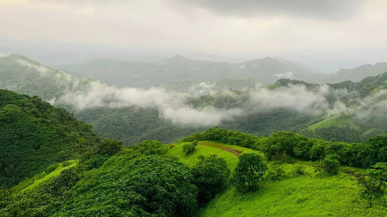 Nandurbar Forest Division, Maharashtra