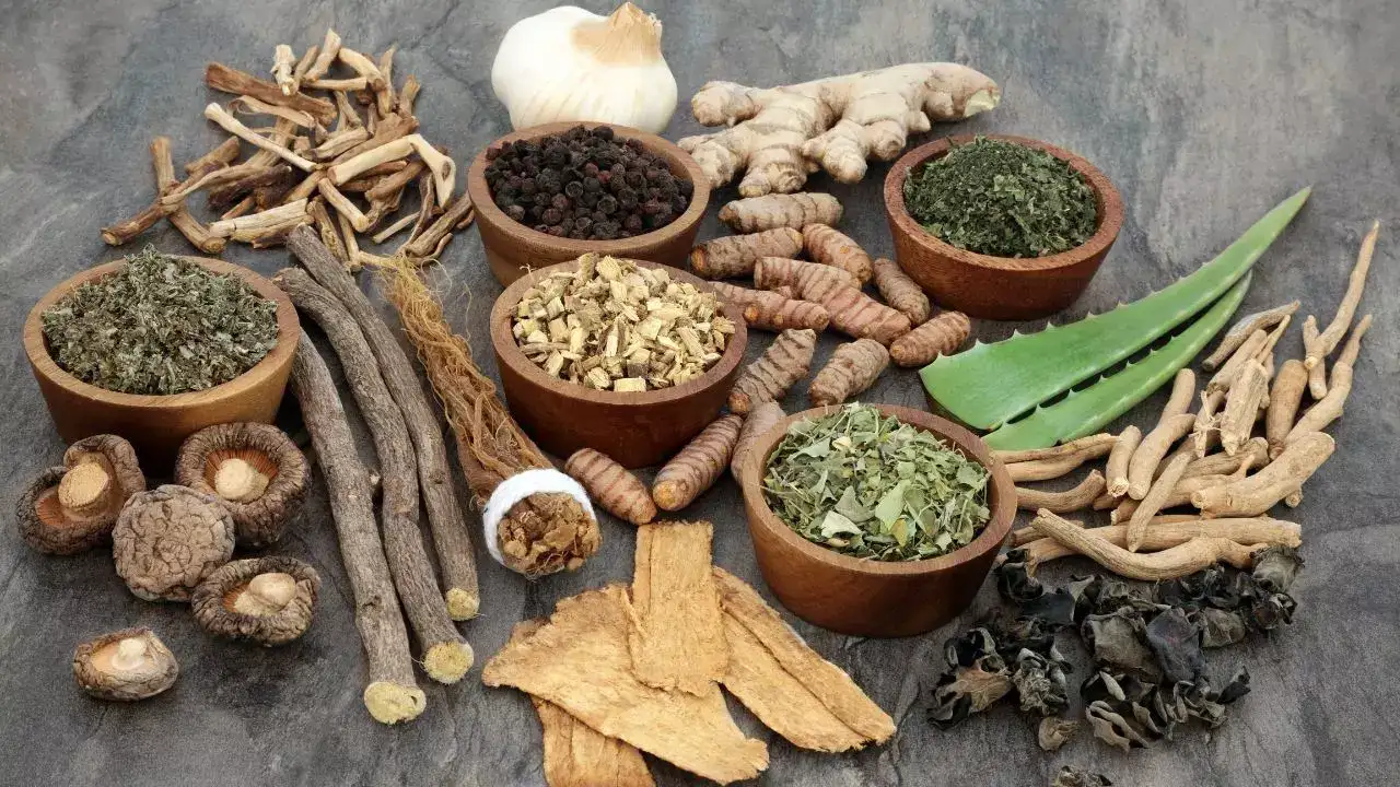 Ayurvedic herbs for liver detox and rejuvenation
