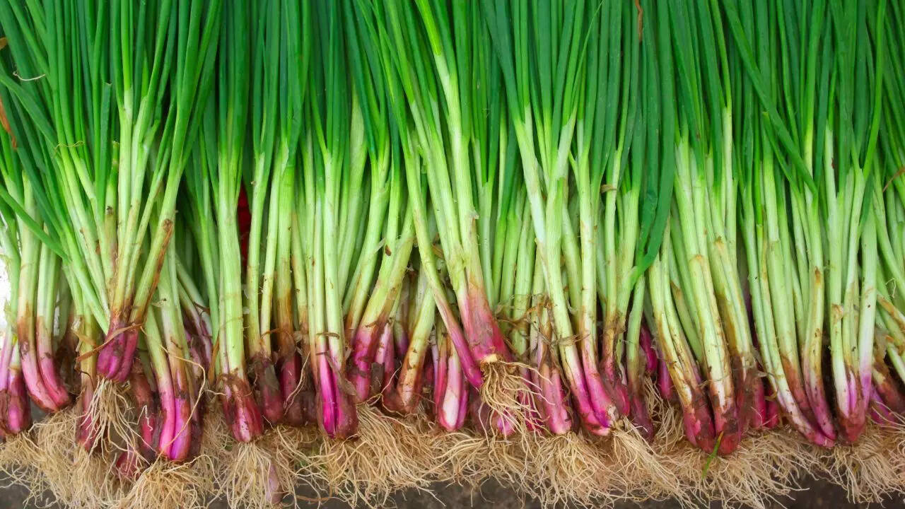 Onions