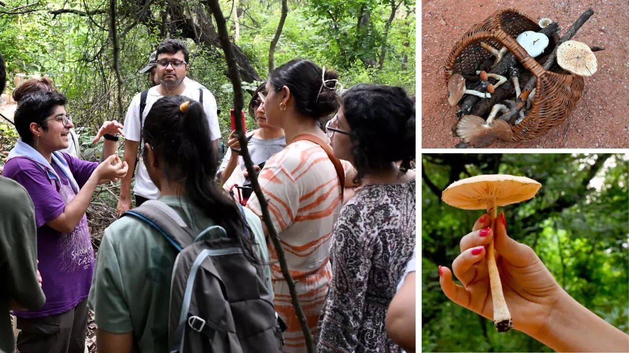 ‘Foraging connects you to the land and nature in a simple, direct way