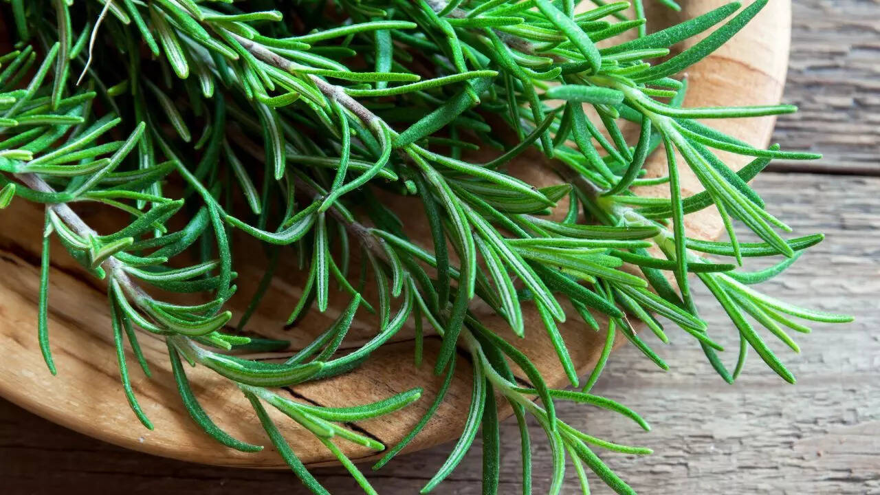 Rosemary, diet, and lifestyle: The keys to Acciaroli’s centenarians’ good health