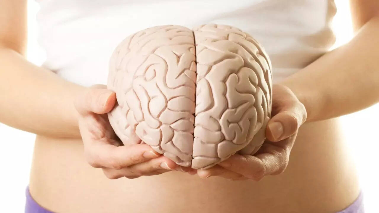 Shortcut to weight loss? Scientists discover 'hidden' brain shortcut ...