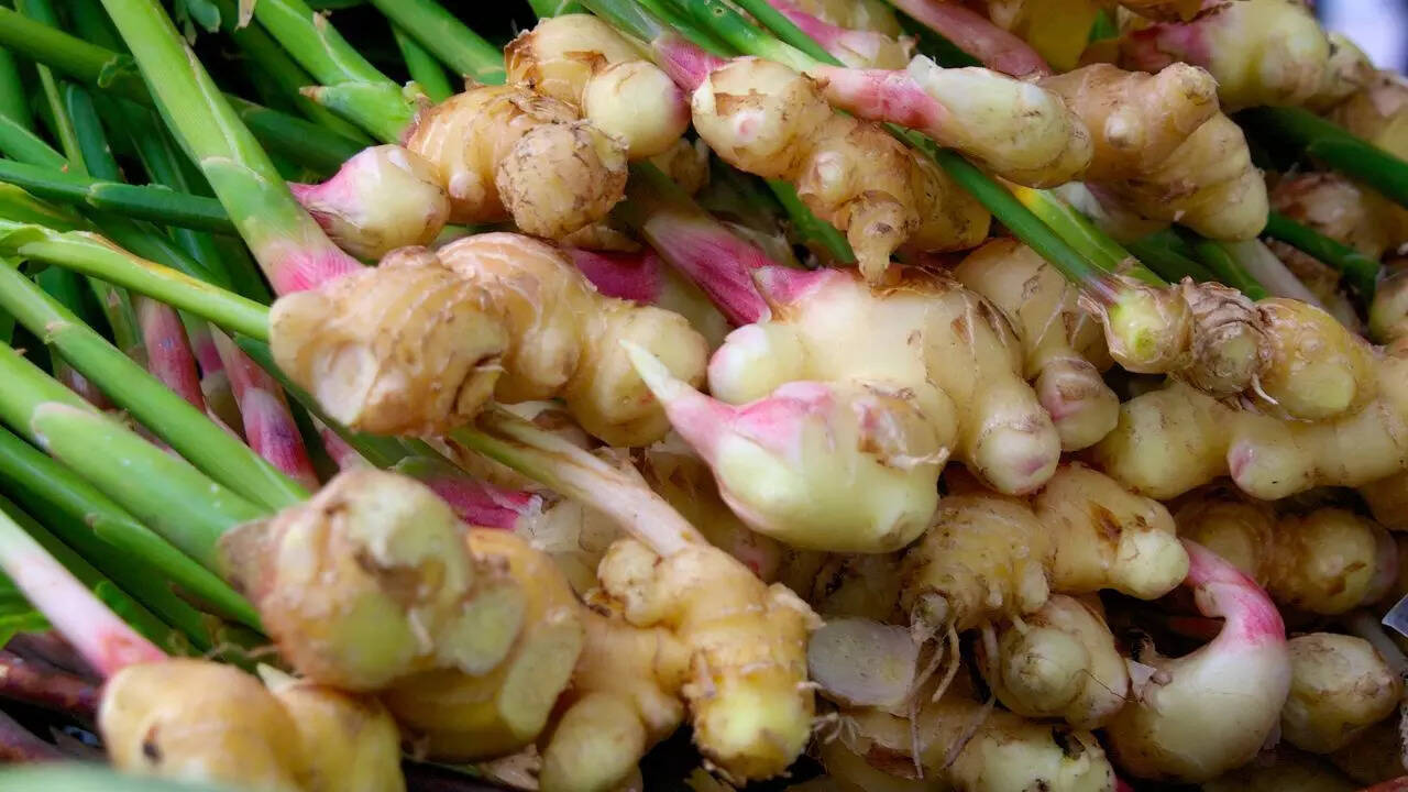 Ginger