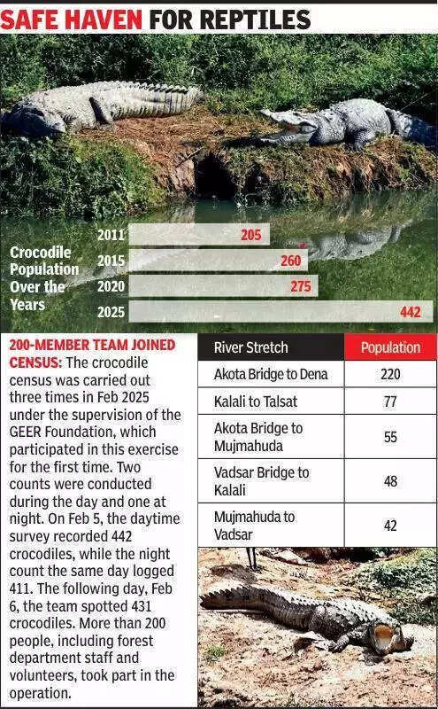 Vishwamitri River