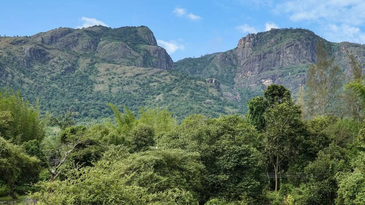 Nilgiris, ooty
