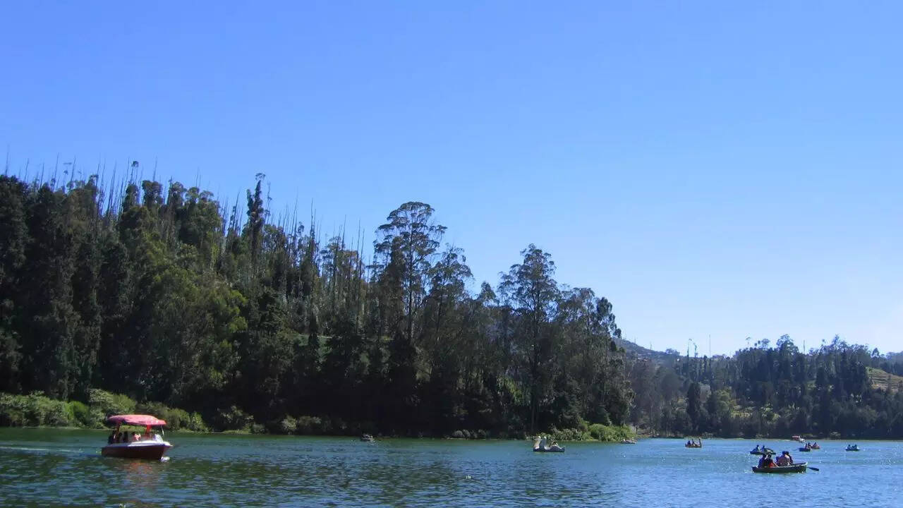 Ooty